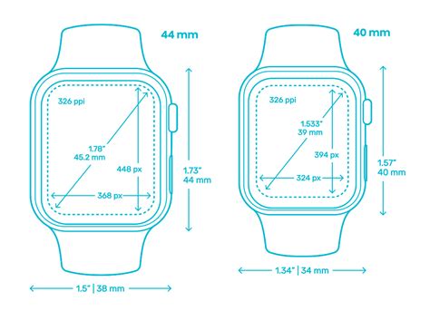 apple watch sizing guide